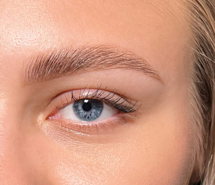 BROWS LAMINATION