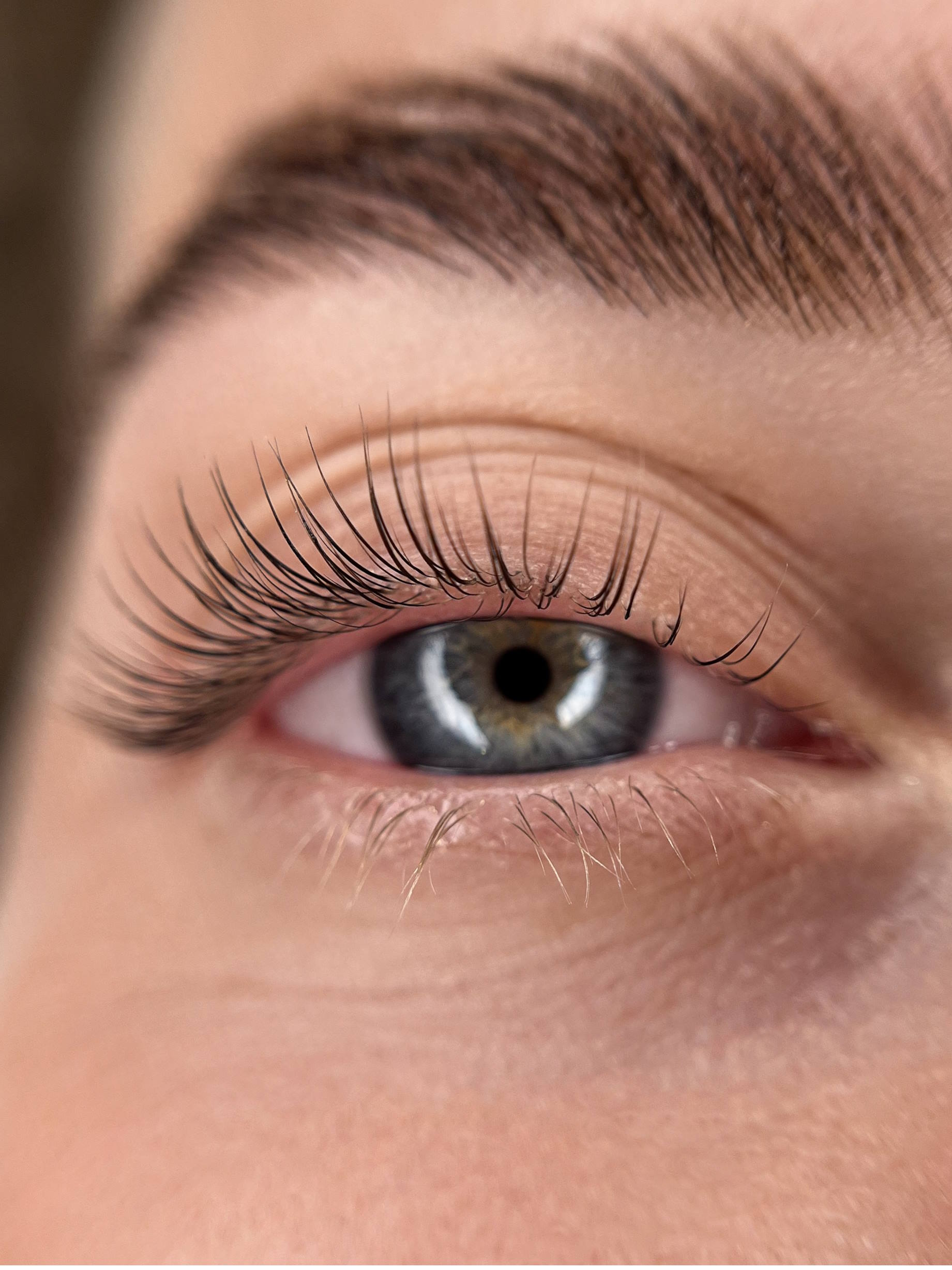 LASH LIFT