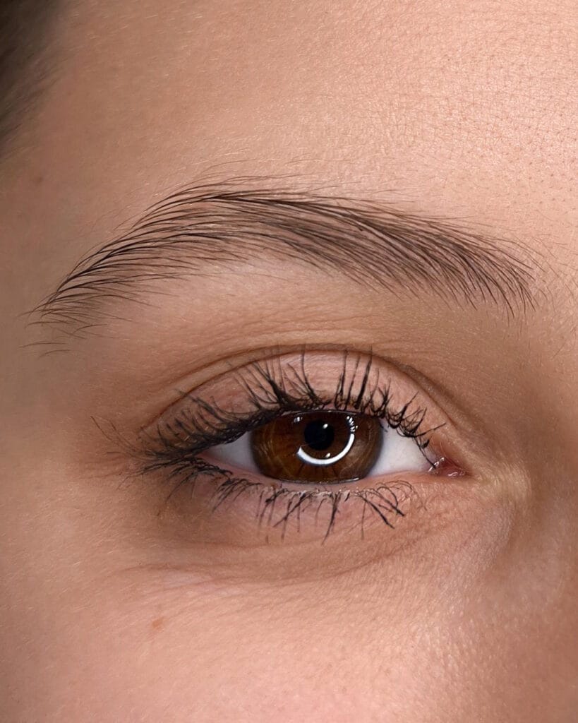 permanent makeup brows Vancouver – natural eyebrow PMU result