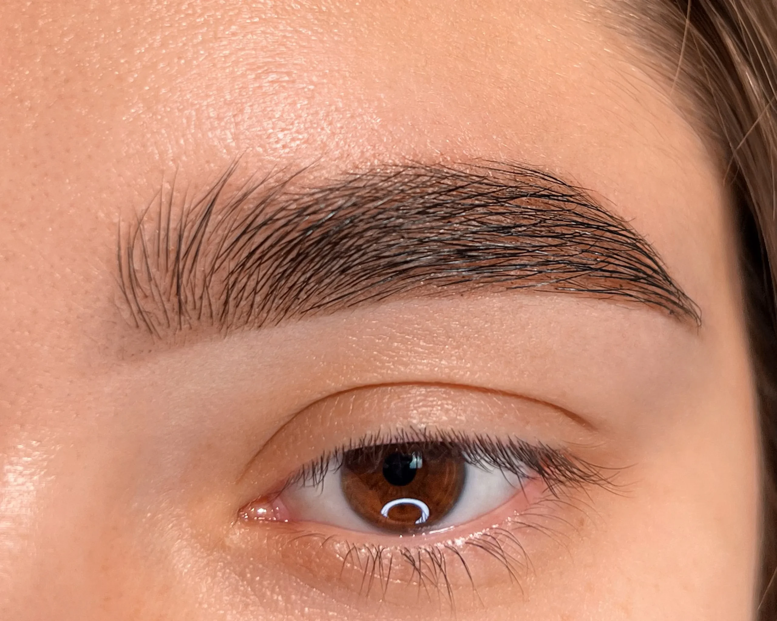 Brow lamination and tint result at EkBeBeauty